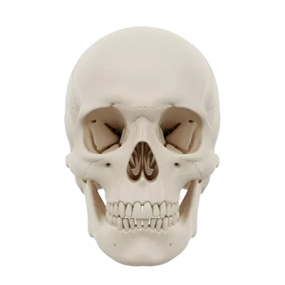 Imagen PNG para descargar